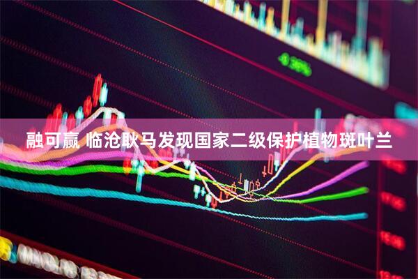 融可赢 临沧耿马发现国家二级保护植物斑叶兰