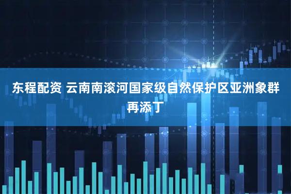 东程配资 云南南滚河国家级自然保护区亚洲象群再添丁