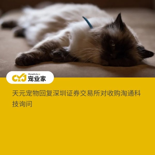 股民之家 关于收购淘通科技，天元宠物回应了深交所这些答案